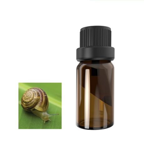 snail elixir